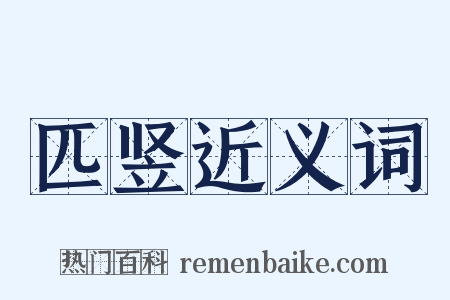 匹竖近义词是什么意思的图片